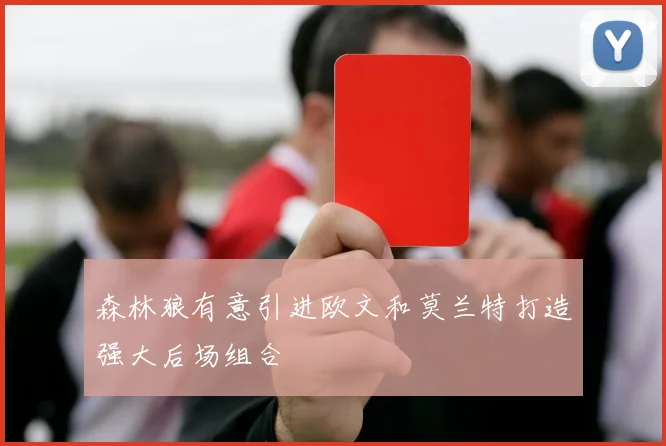 森林狼有意引进欧文和莫兰特打造强大后场组合